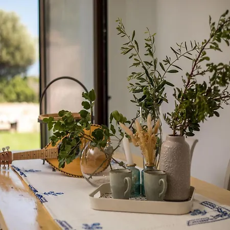 Villa Agrotouristic In Rhodes Rhodes City