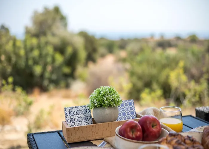 Agrotouristic In Rhodes Villa *