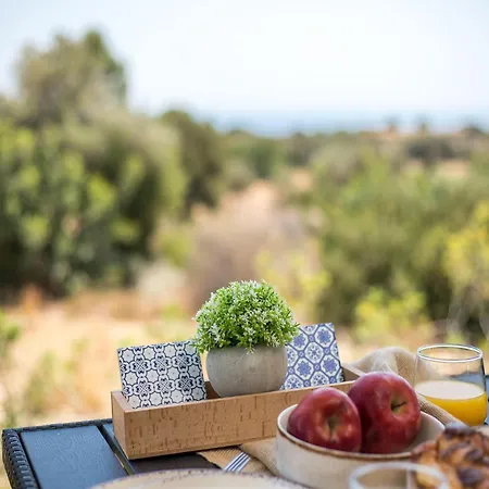 Agrotouristic In Rhodes Villa *